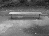 the bench