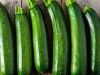 Zucchini