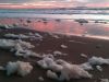 SEA FOAM SUNSET