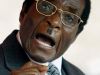 Memoirs Of A Freedom Fighter (Mugabe's Lost)