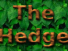 "The Hedge"