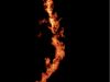 Filament