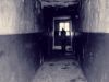 The Dark Corridor 