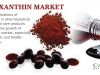 Astaxanthin Market - Industry Insights, Trends, and Forecast 2025