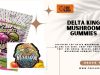 Best Delta King Mushroom Gummies in 2025 | The 420 King