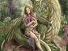 Fairy & The Dragon