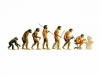 Darwin's Evolution