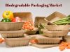 Global biodegradable packaging market to surpass us$ 21 billion by 2025
