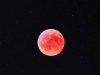 BLOOD RED MOON