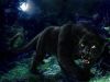 Hunting Panther