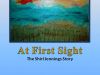 At First Sight - the Shirl Jennings story