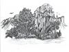 Serpents Nest