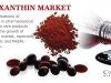 Astaxanthin Market - Global Industry Insights, Outlook,Trends, and Forecast 2025