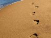 Footprints on the Sand