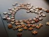 Pieces of a Puzzle