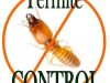 Termite Control Market- Insights, Size, Share, Opportunity Analysis