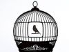 BIRD LIKE TO BE CAGED