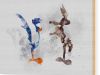 Wile E. Coyote: Myth or Reality?