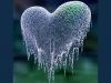 The Icebox Heart