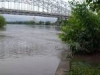 The River