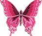 THE FREE VERSE OF THE PINK BUTTERFLY