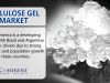 Cellulose Gel Market - Global Industry Insights, Trends, and Forecast 2025