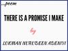 There is a Promise I Make (Poem by Lukman Nurudeen)