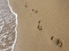 The Lonely Footprint