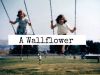 A Wallflower