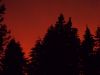 Blood Red Sky