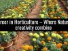 A career in Horticulture &ndash; Where Nature & creativity combine