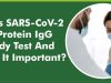 What is SARS-CoV-2 Spike Protein IgG Antibody Test And How is It Important?
