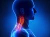 Global Head And Neck Cancer Market 2017-2027: Consumption Growth Rate, Market Drivers and Opportunit