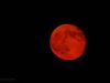 Red Moon Eclipse