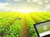 Do Farming in a Productive Way with Smart Agriculture Technology