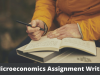 DO NOT IGNORE 4 &lsquo;Micro&rsquo; Tricks for Microeconomics Assignment Writing