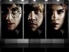 Harry Potter and the Black Aurors