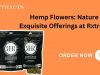 Hemp Flowers: Nature Exquisite Offerings at Rxtract