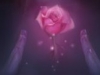 Life's Enchanted Rose
