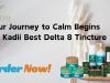 Your Journey to Calm Begins Here Kadii Best Delta 8 Tincture