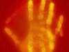 Fingertips