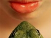 Kissin frogs