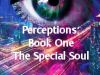 Perceptions: The Special Soul