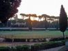 The Birds of Borghese