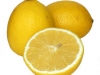You Lemons,