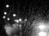 Rain on a Car Window