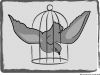 Caged Bird