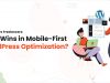 Agencies vs Freelancers: Who Wins in Mobile-First WordPress Optimization?