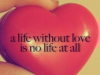 Life Without Love