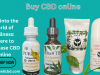 Dive into the World of Wellness: Where to Purchase CBD Online